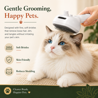 Steamy Dog Brush Electric Spray Cat Hair Brush 3 in1 Dog Steamer Brush for Massage Pet Grooming Removing Tangled and Loose Hair