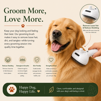 Steamy Dog Brush Electric Spray Cat Hair Brush 3 in1 Dog Steamer Brush for Massage Pet Grooming Removing Tangled and Loose Hair